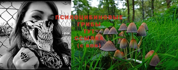 mix Абаза
