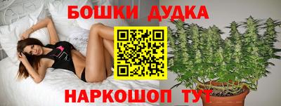 меф Лесосибирск