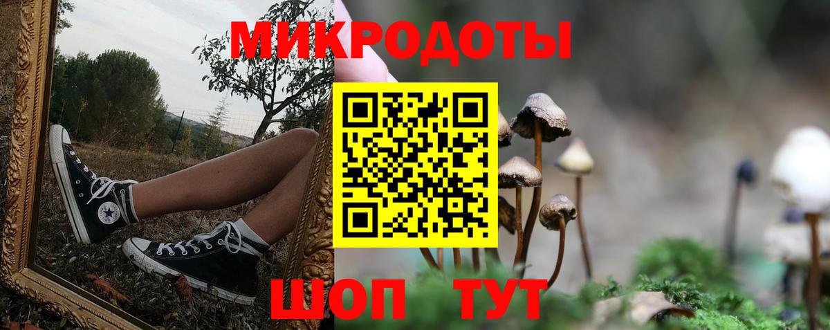 Елизово  Галлюциногенные грибы MAGIC MUSHROOMS  Вход с VPN  Псилоцибиновые грибы ЛСД 